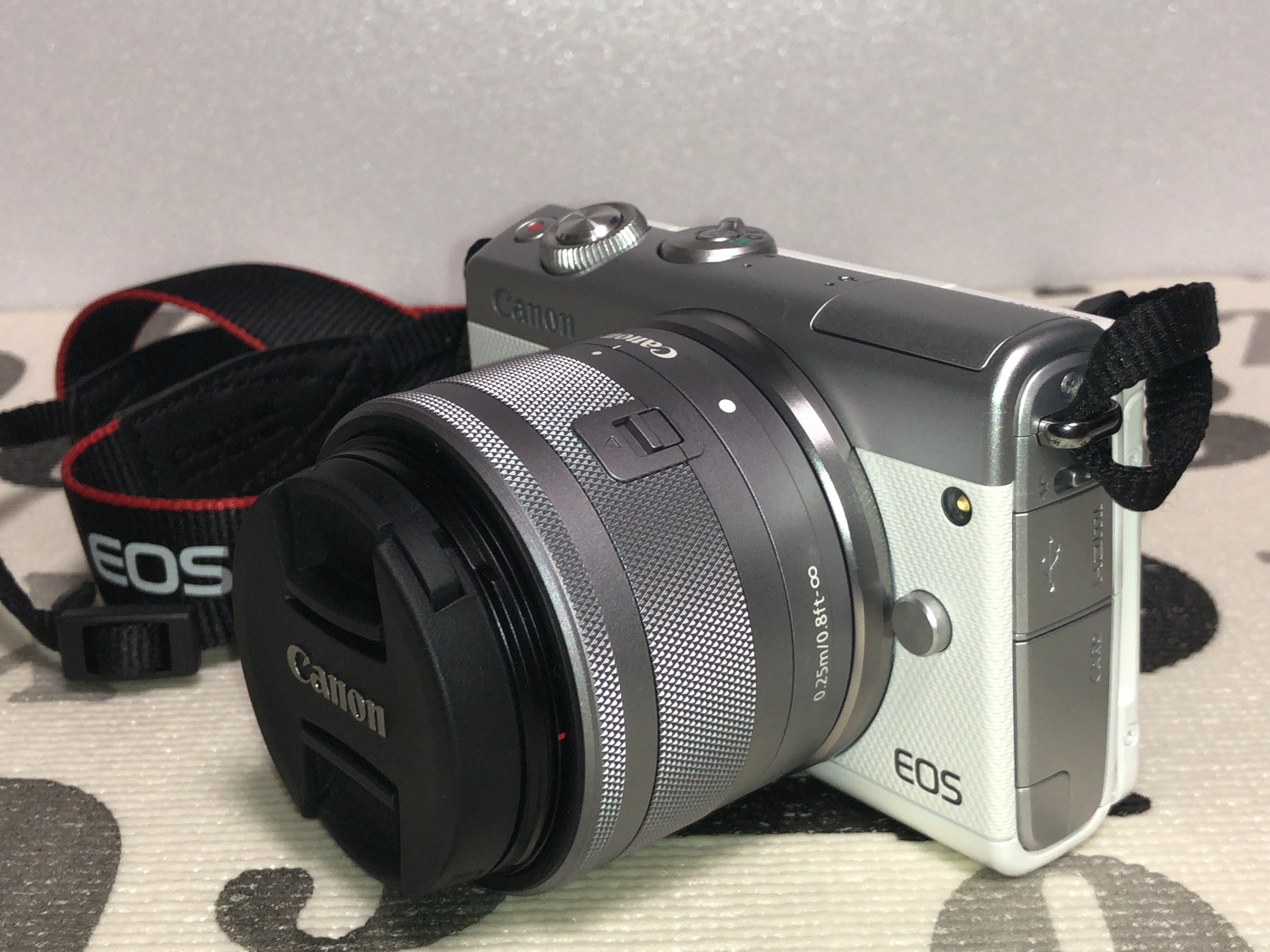 カメラにまったく興味なかった私が、「Canon EOS M100」 を購入した 